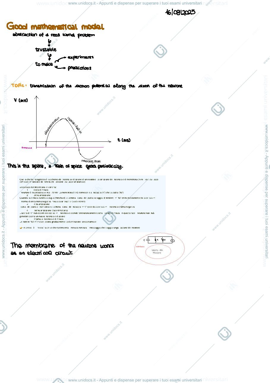 Anteprima pagina 2 — Biomedical 1
