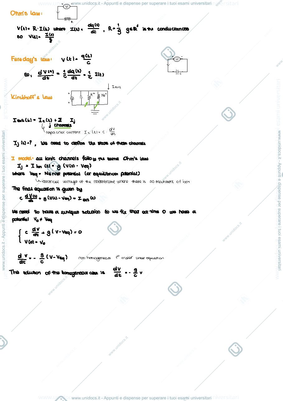 Anteprima pagina 3 — Biomedical 1