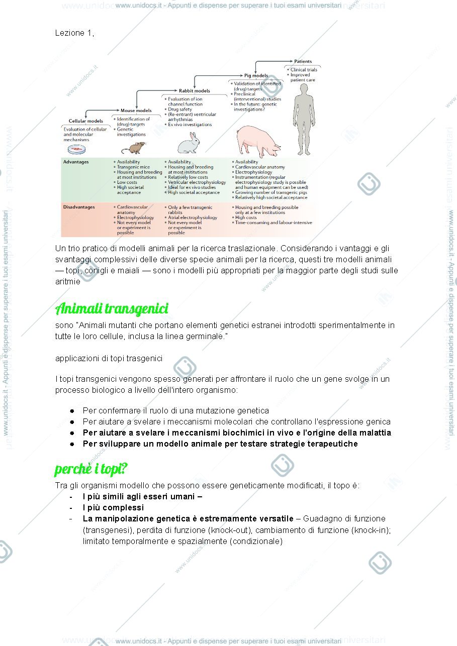 Anteprima pagina 2 — Modelli murini di patologie umane 