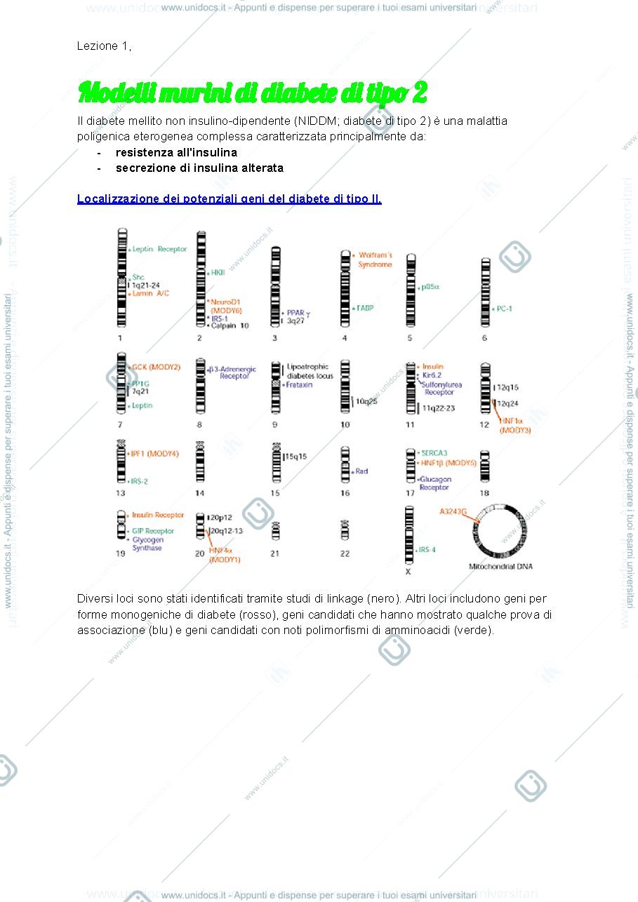 Anteprima pagina 1 — Modelli murini di diabete di tipo 2