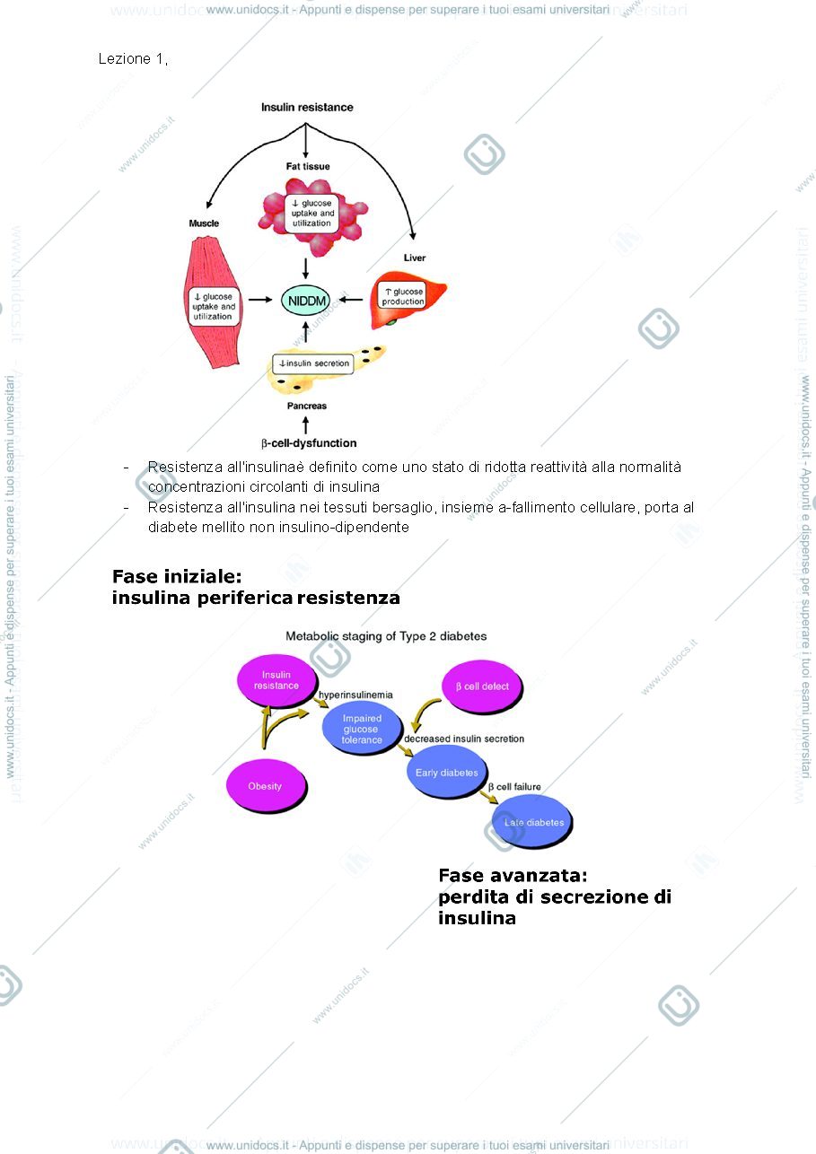 Anteprima pagina 2 — Modelli murini di diabete di tipo 2