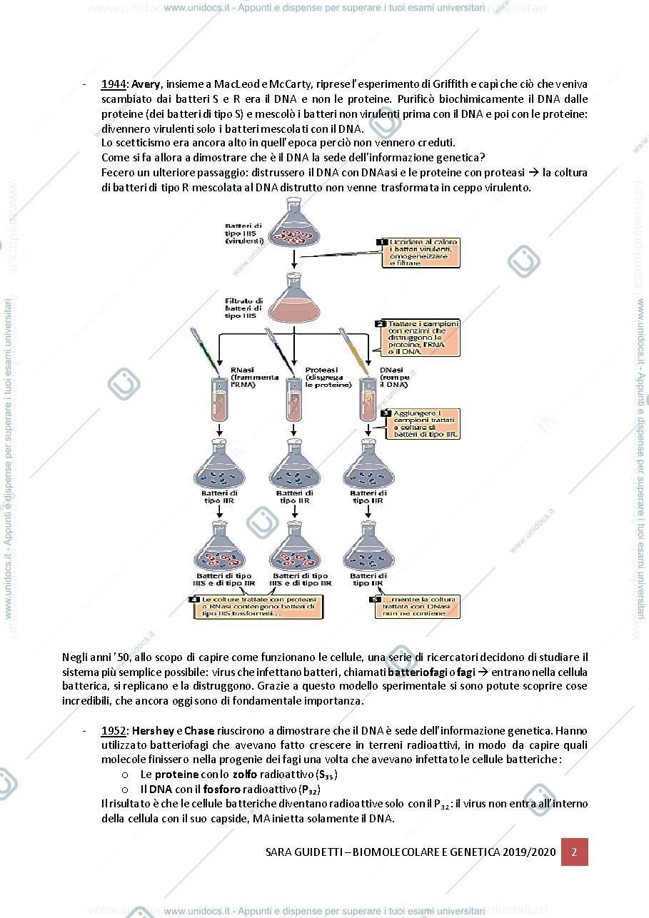 Anteprima pagina 2 — Biologia Molecolare e genetica 