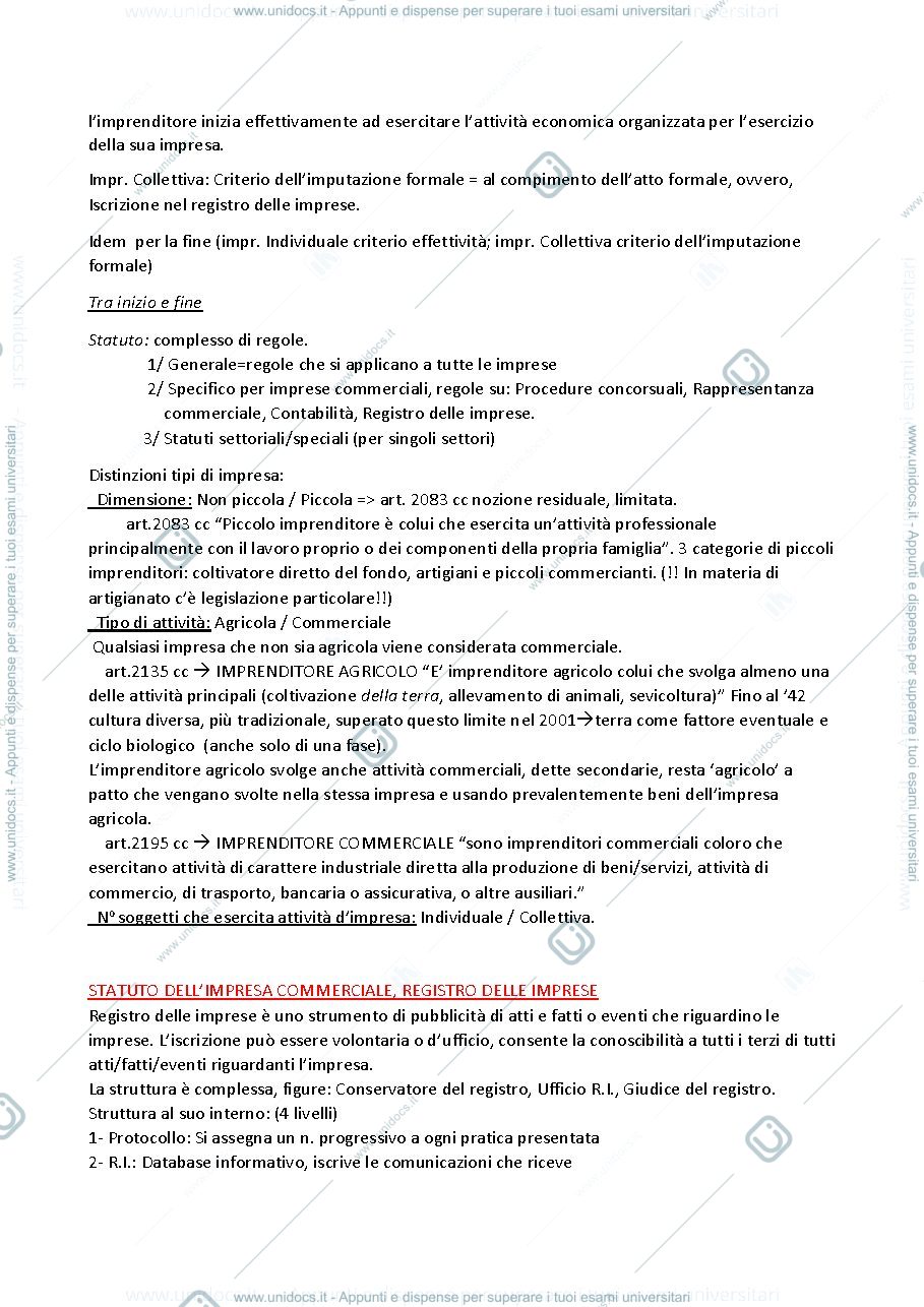 Anteprima pagina 2 — riassunto diritto commerciale