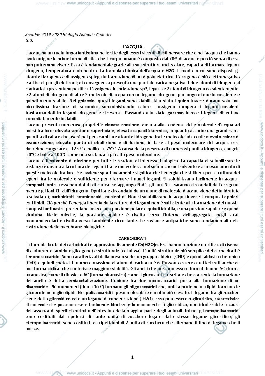 Anteprima pagina 1 — Biologia animale