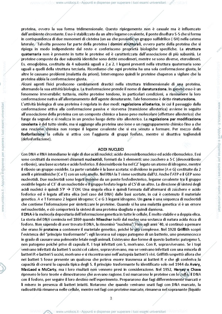 Anteprima pagina 3 — Biologia animale