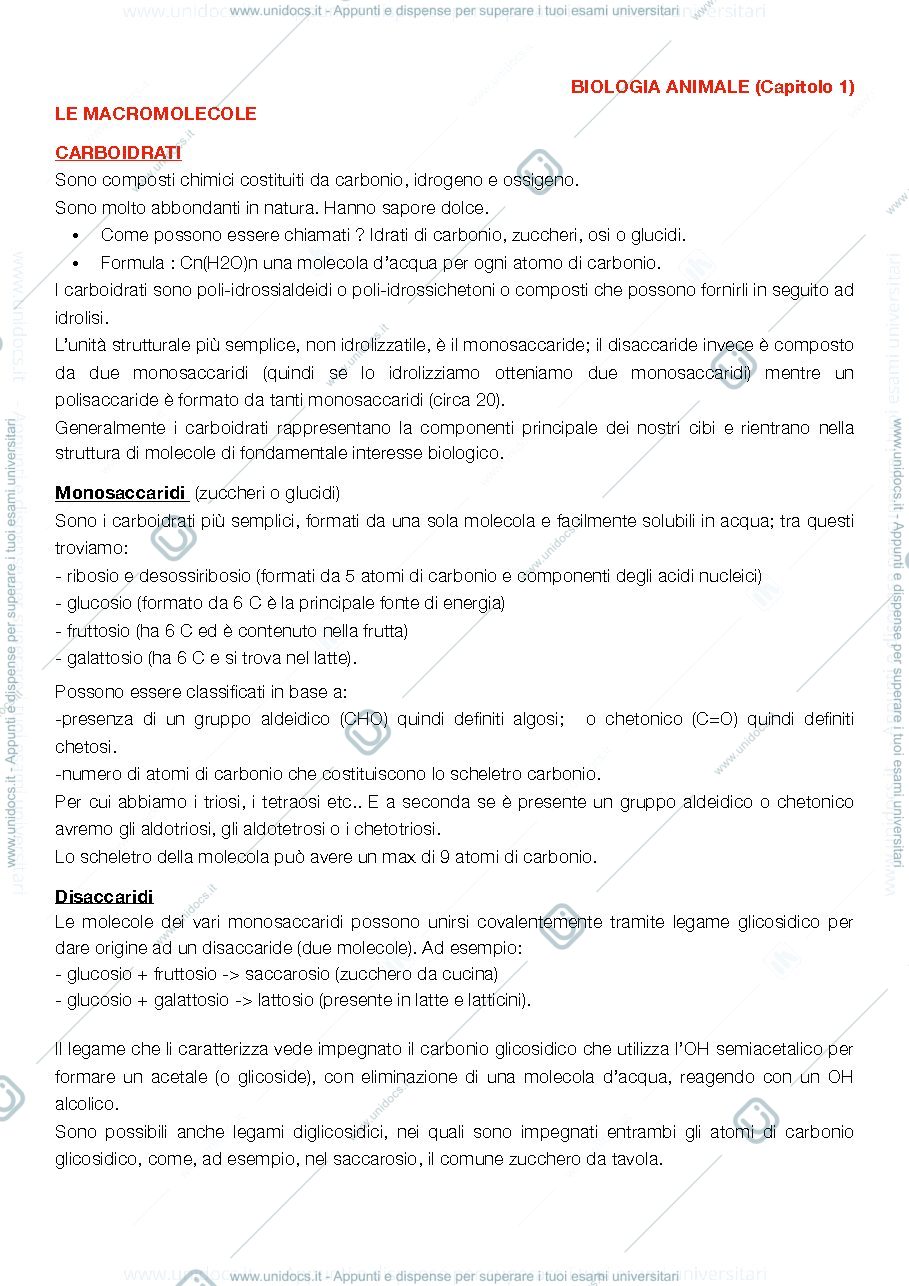 Anteprima pagina 1 — Biologia animale