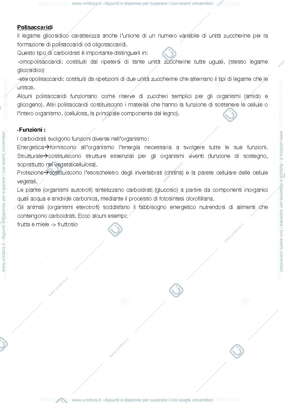 Anteprima pagina 2 — Biologia animale