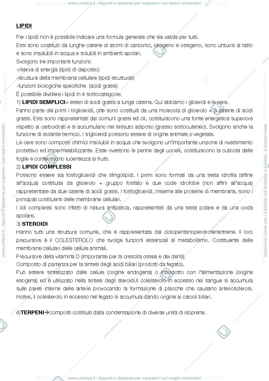 Anteprima pagina 3 — Biologia animale