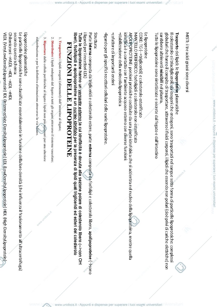 Anteprima pagina 3 — terapia per dislipidemie e diabete