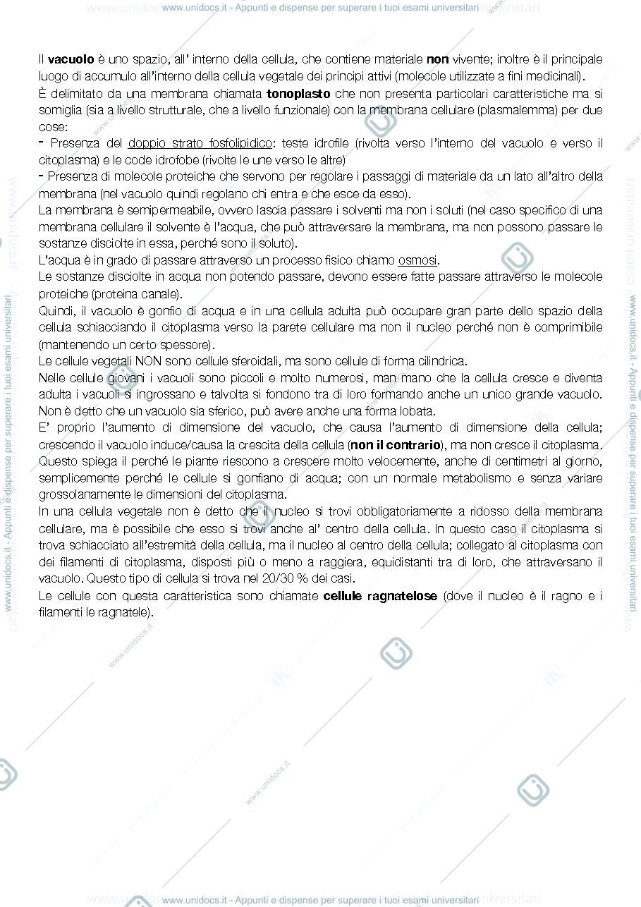 Anteprima pagina 2 — Biologia Vegetale