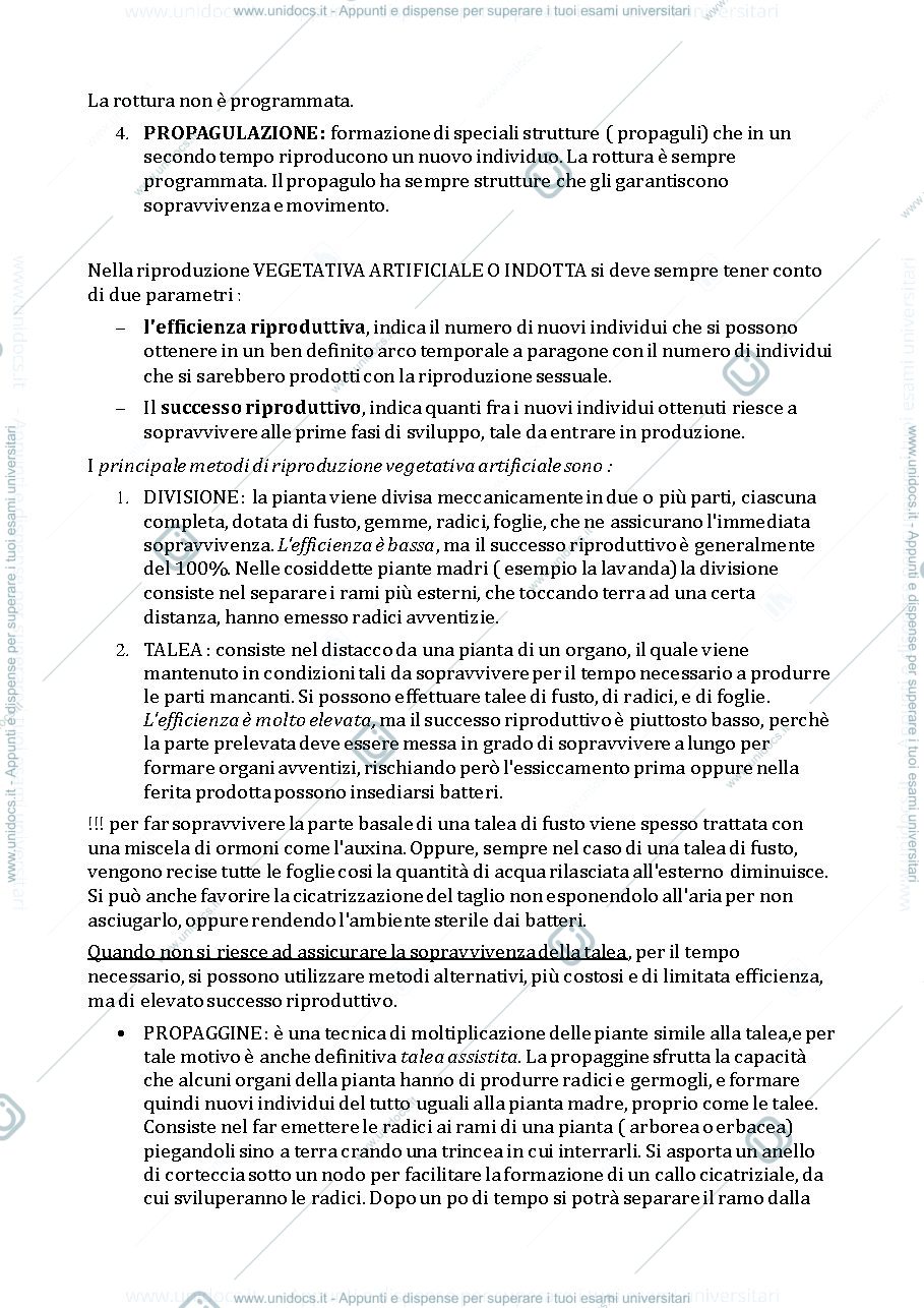 Anteprima pagina 2 — Botanica