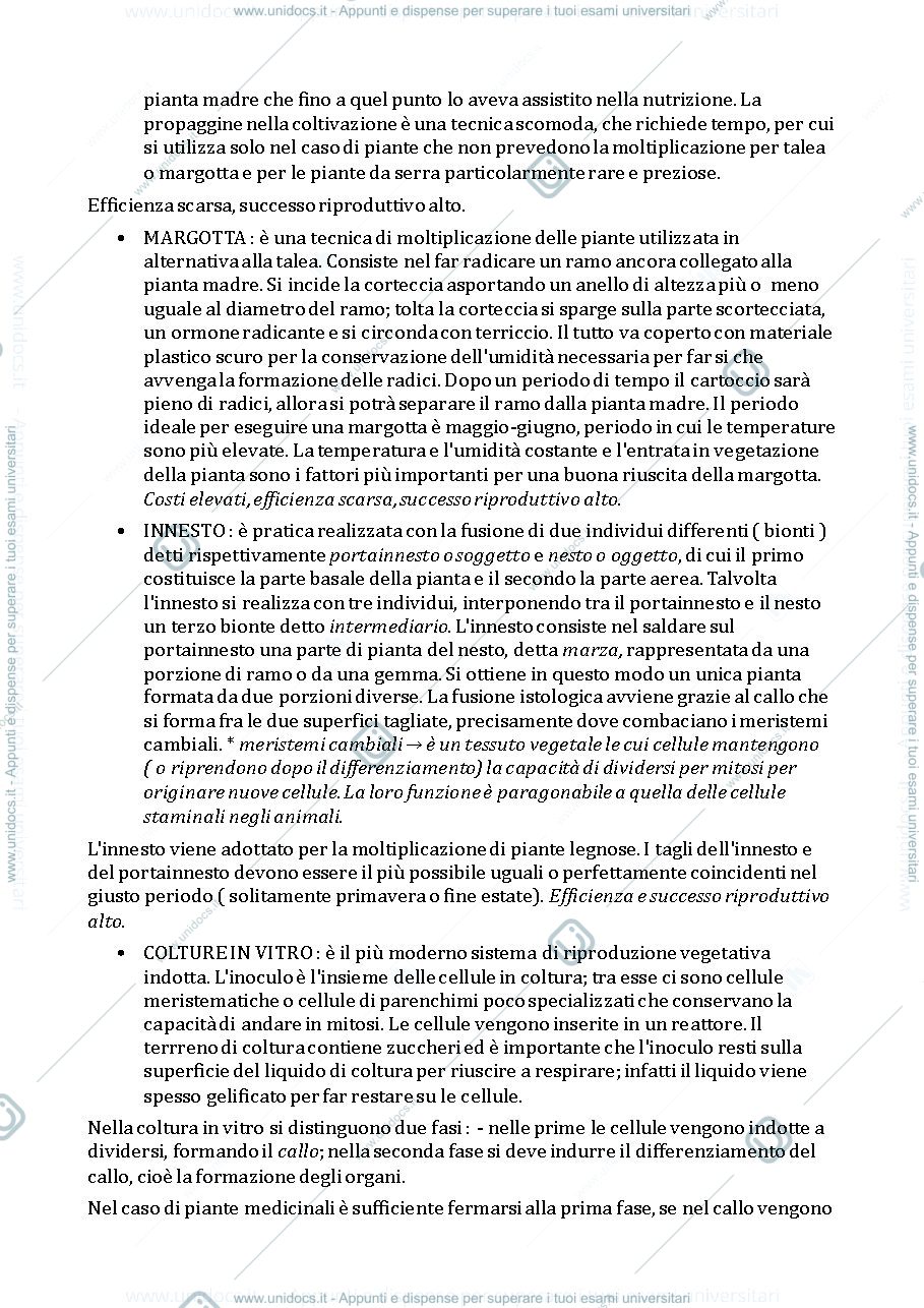 Anteprima pagina 3 — Botanica