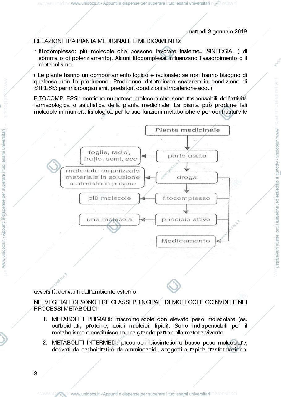 Anteprima pagina 3 — studente