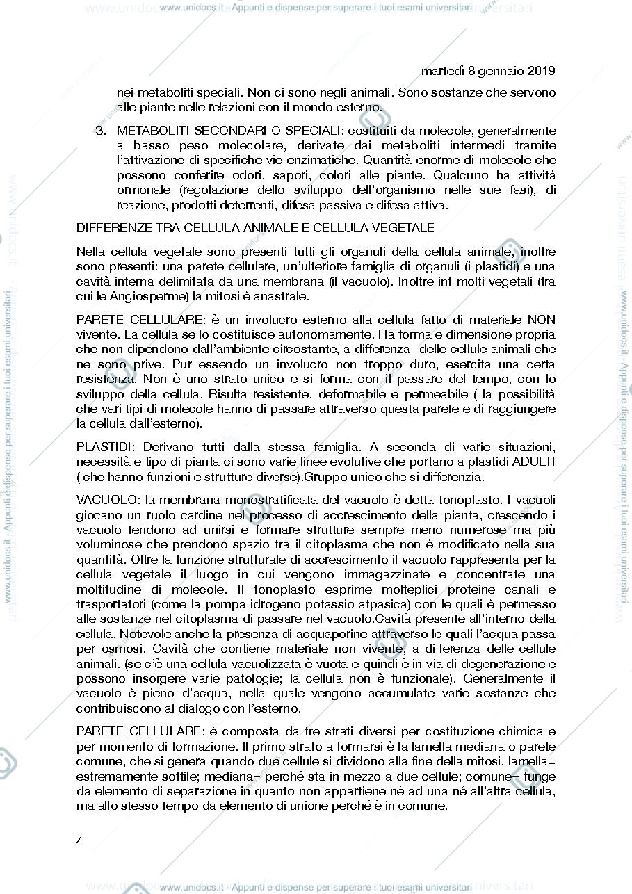 Anteprima pagina 4 — studente