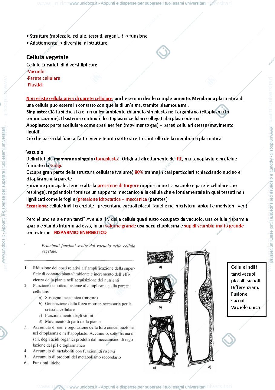 Anteprima pagina 1 — Modulo 2 Fisiologia