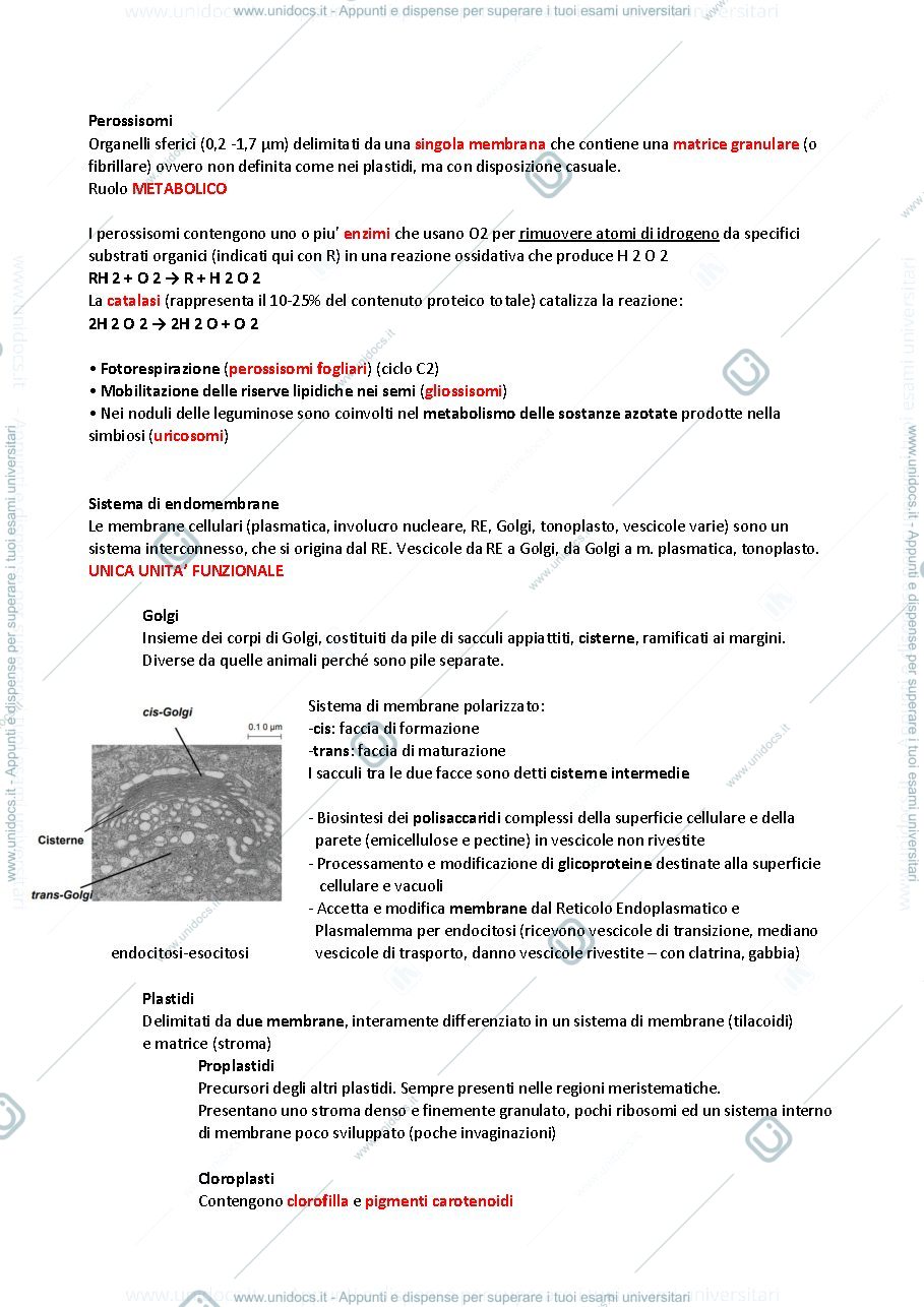 Anteprima pagina 3 — Modulo 2 Fisiologia