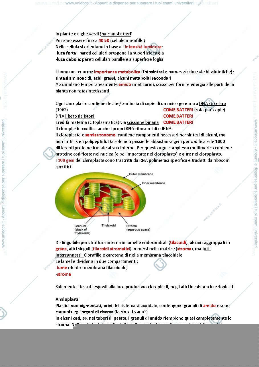 Anteprima pagina 4 — Modulo 2 Fisiologia