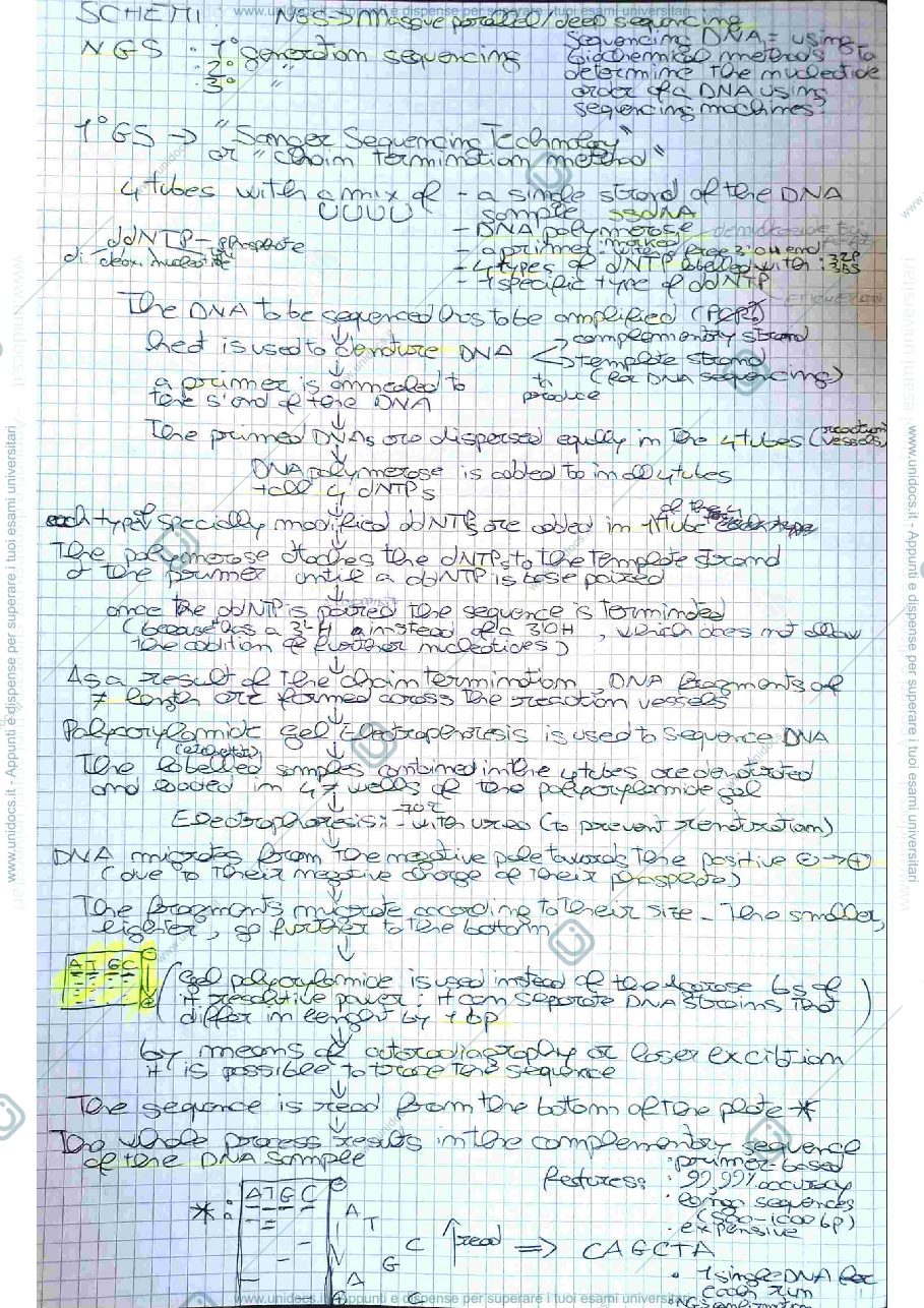 Anteprima pagina 1 — Molecular Microbiology