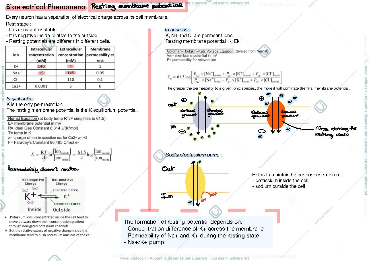Anteprima pagina 1 — Voltage gated channel and bioelectrical phenomena