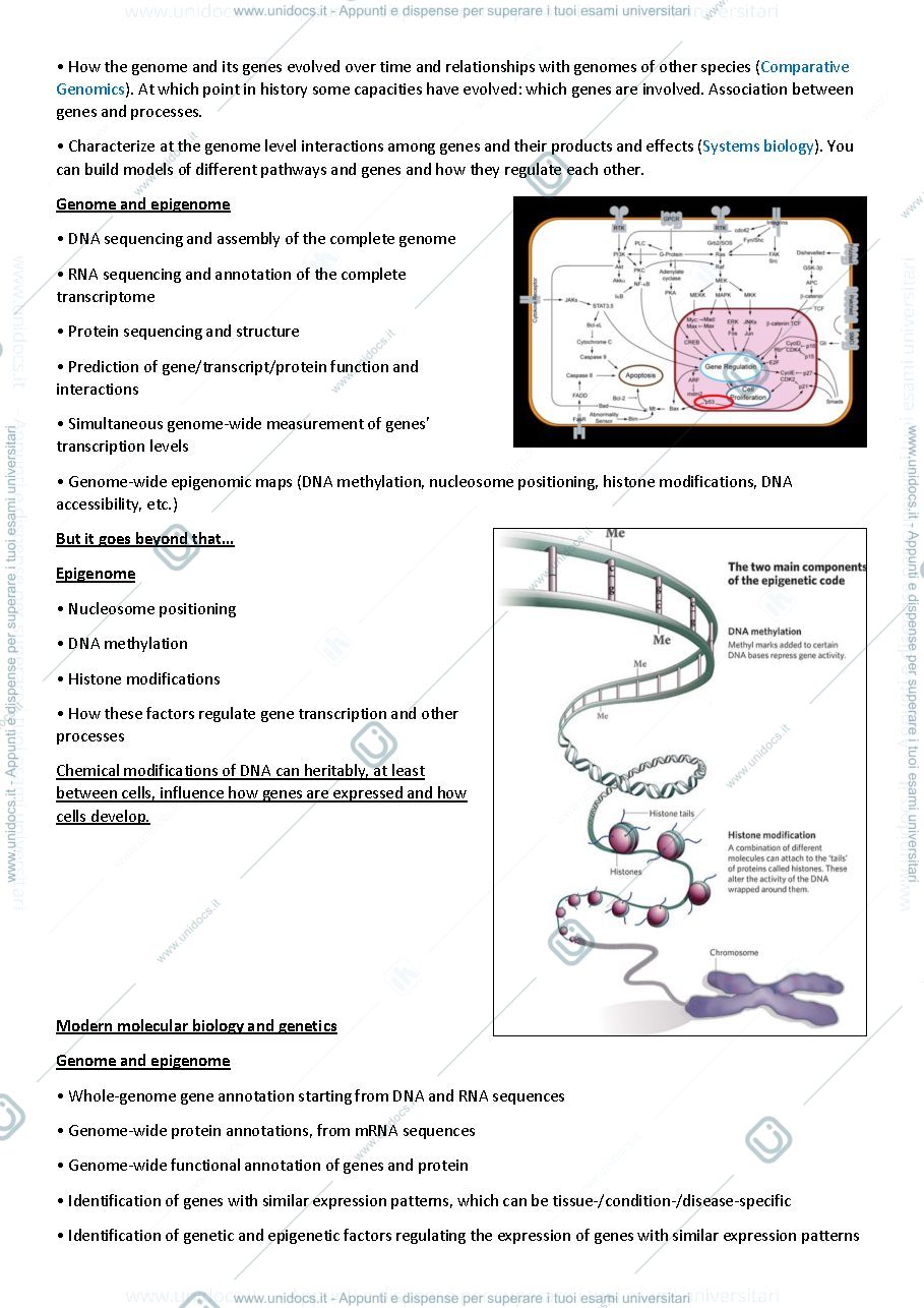 Anteprima pagina 2 — Bioinformatics