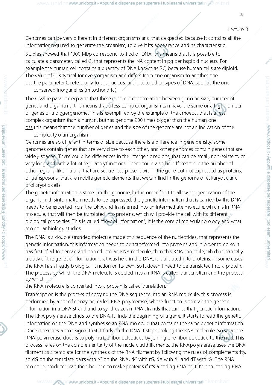 Anteprima pagina 4 — molecular biology