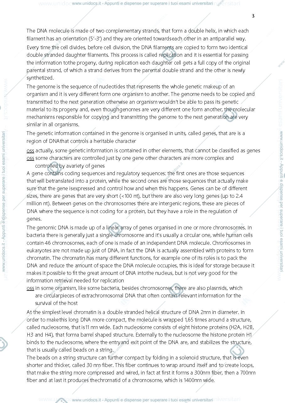 Anteprima pagina 3 — Molecular biology
