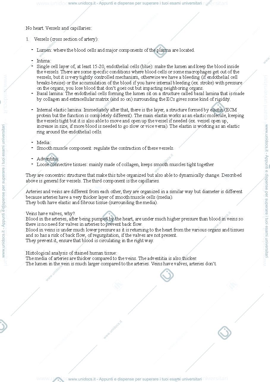 Anteprima pagina 2 — Santoro - Molecular biology of development