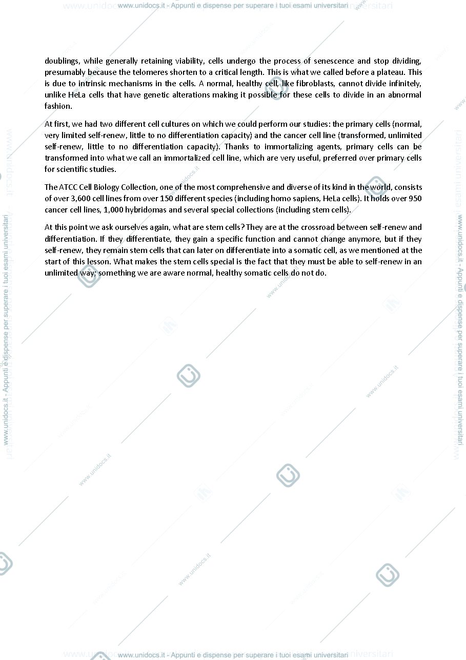 Anteprima pagina 2 — MBSC appunti esame (curriculum inglese)