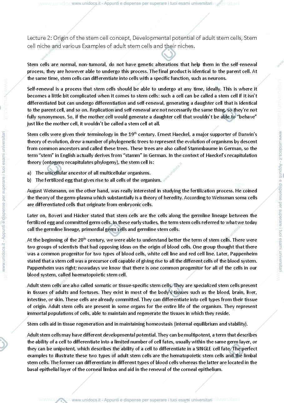 Anteprima pagina 3 — MBSC appunti esame (curriculum inglese)