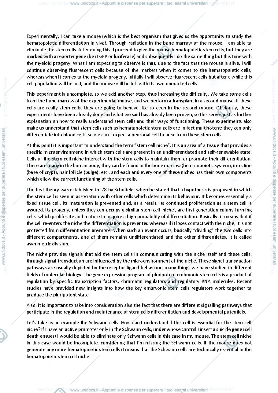 Anteprima pagina 4 — MBSC appunti esame (curriculum inglese)