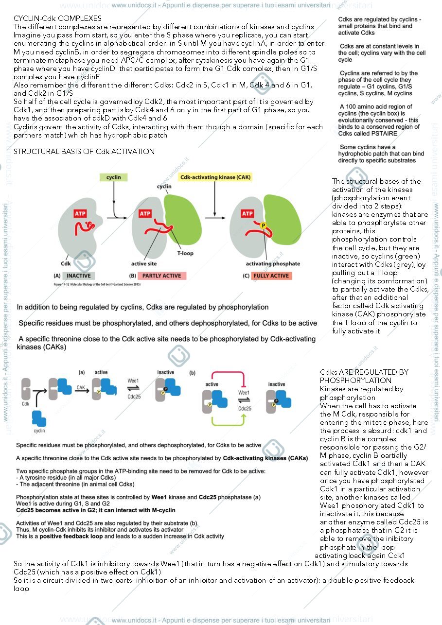 Anteprima pagina 3 — MBC2