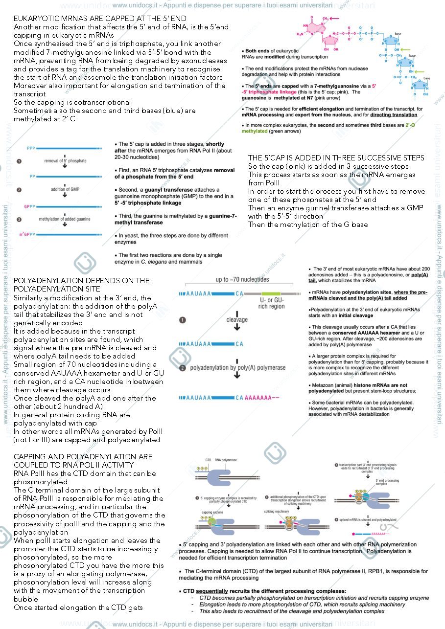 Anteprima pagina 3 — MBC4