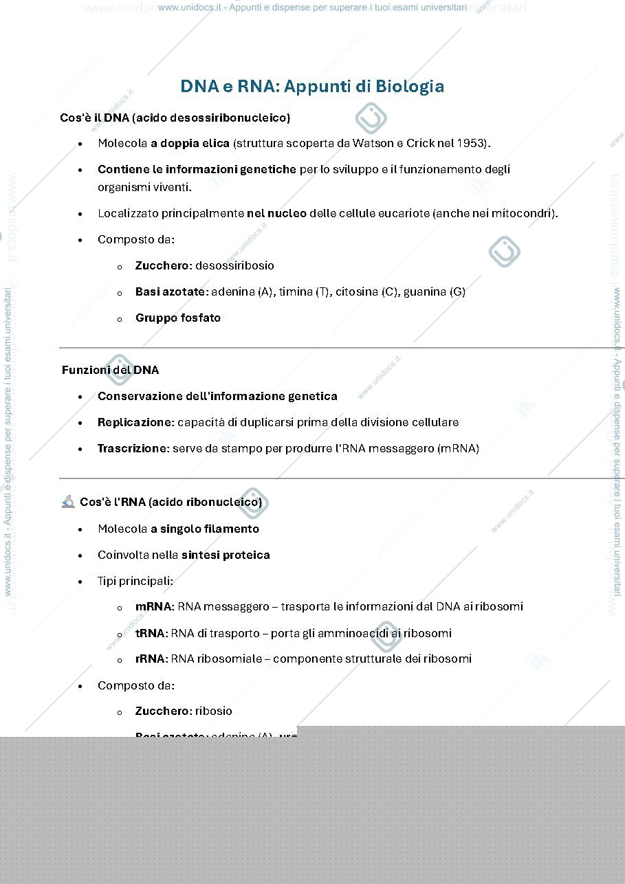 Anteprima pagina 1 — Differenze DNA e RNA