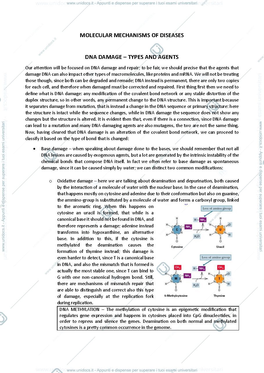 Anteprima pagina 1 — Appunti molecular mechanisms of diseases Capranico 2023 inglese