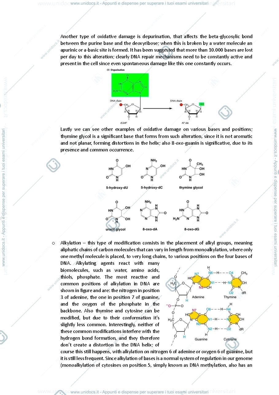 Anteprima pagina 2 — Appunti molecular mechanisms of diseases Capranico 2023 inglese