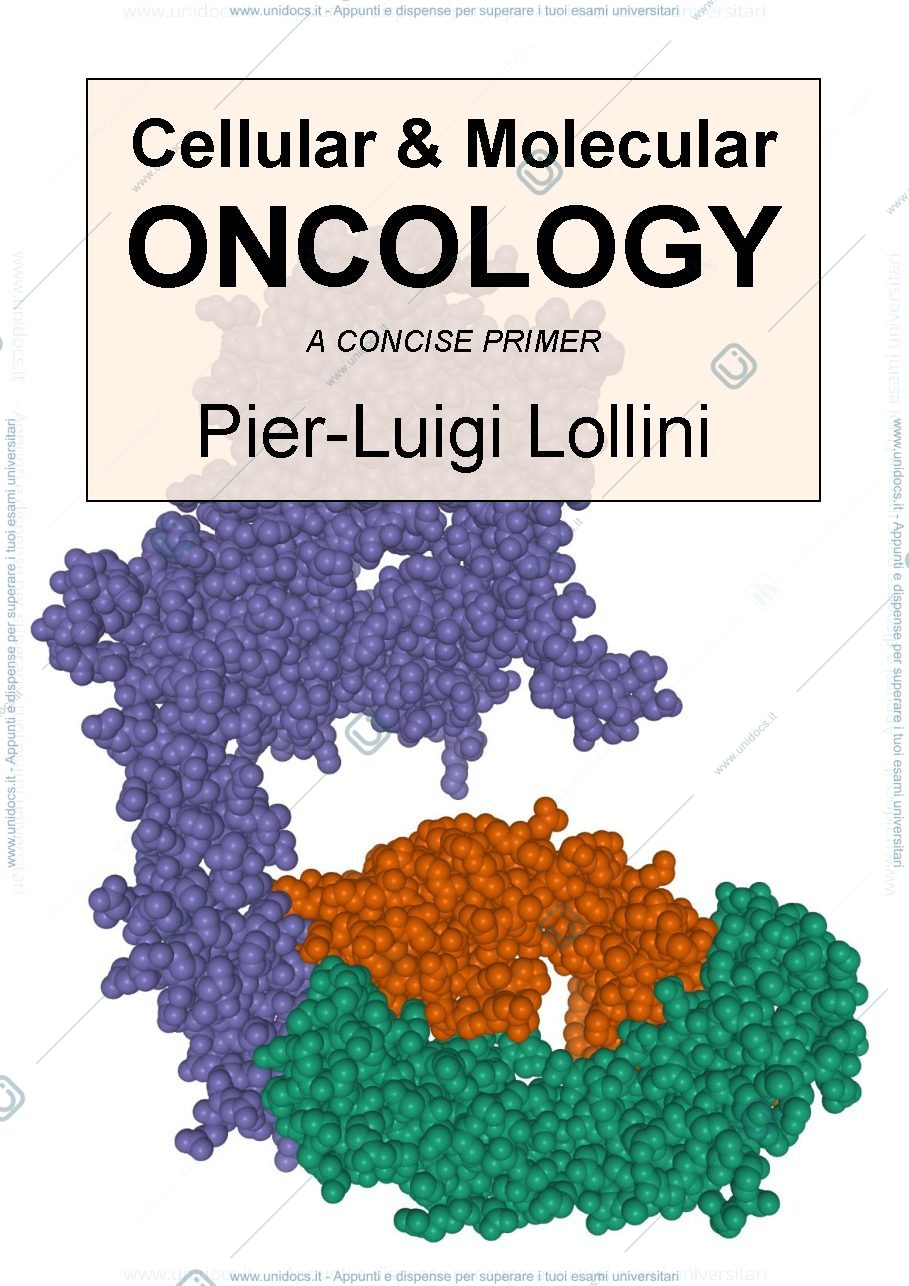 Anteprima pagina 1 — Cellular and molecular oncology: a concise primer