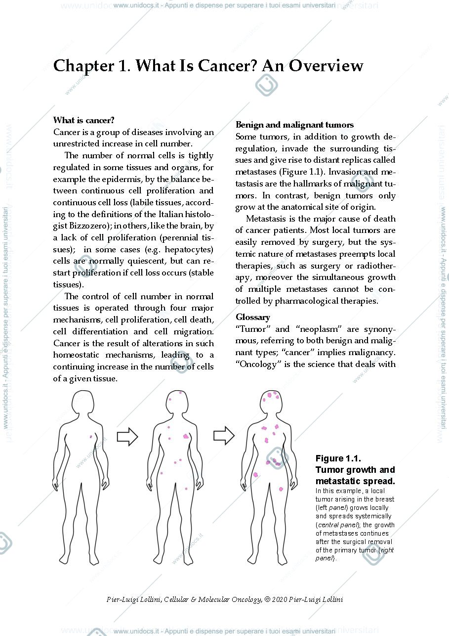 Anteprima pagina 3 — Cellular and molecular oncology: a concise primer