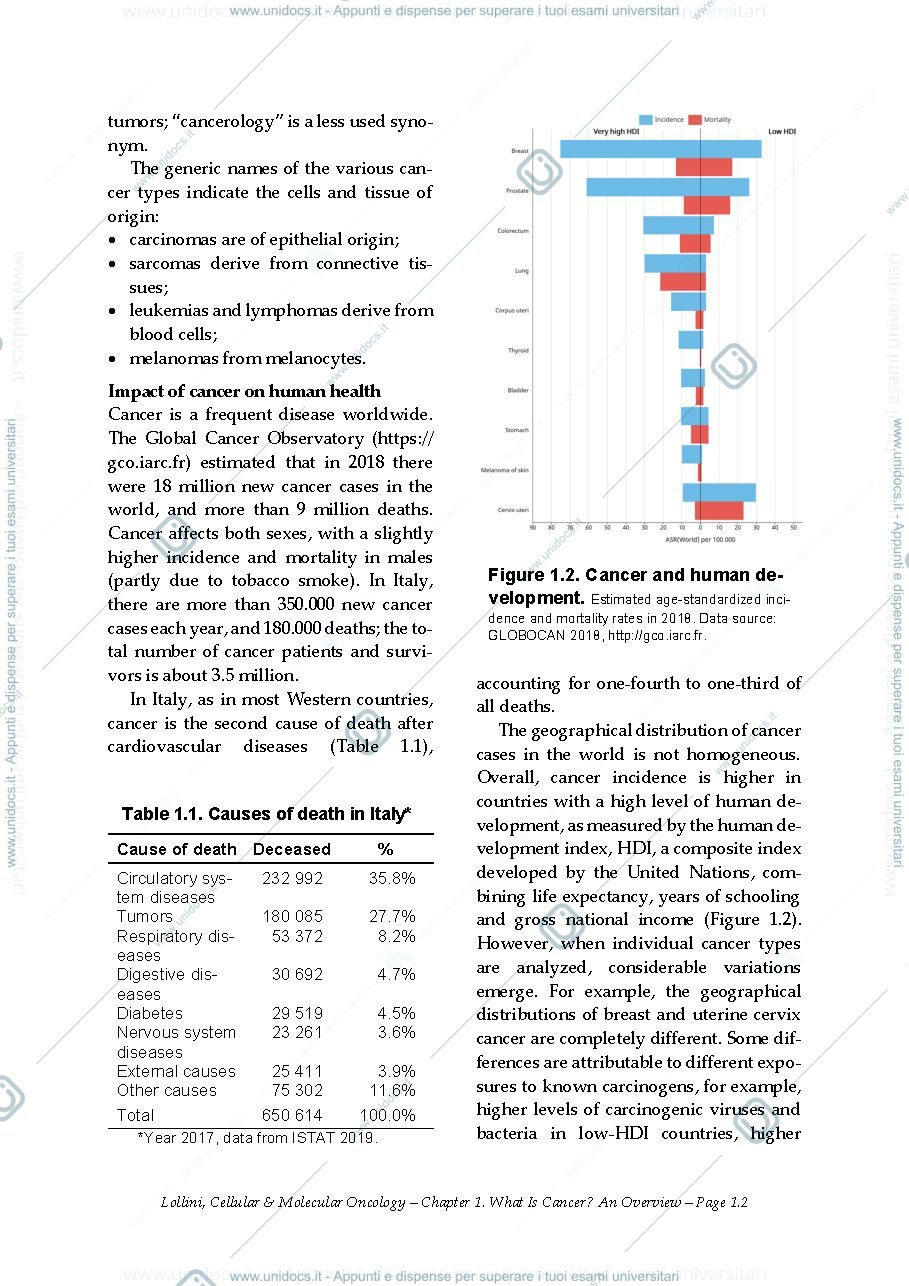Anteprima pagina 4 — Cellular and molecular oncology: a concise primer