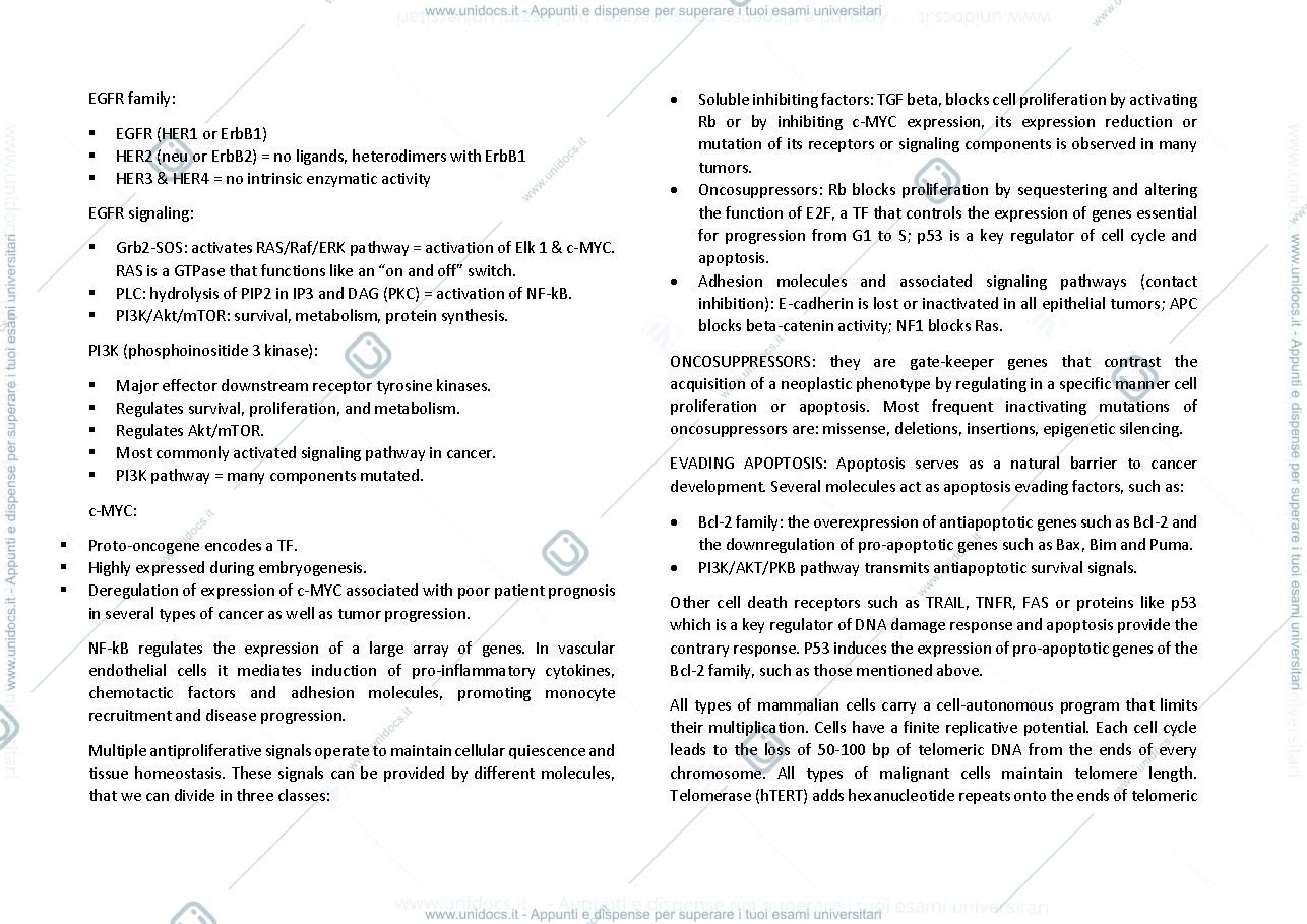 Anteprima pagina 2 — Molecular Oncology exam notes