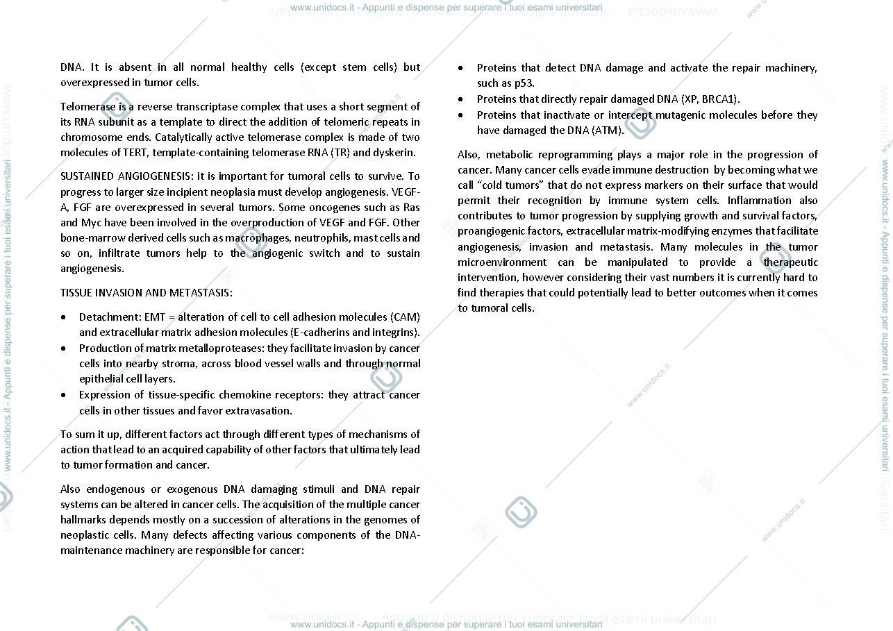 Anteprima pagina 3 — Molecular Oncology exam notes
