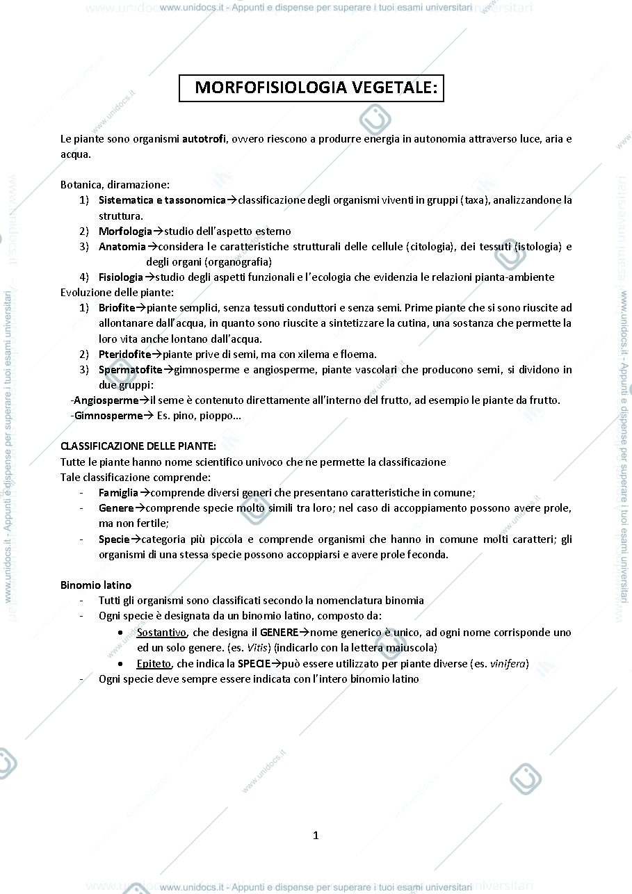 Anteprima pagina 1 — MOROFOFISIOLOGIA VEGETALE