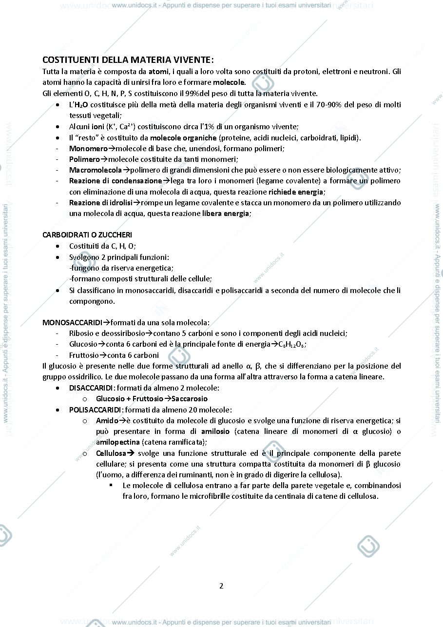 Anteprima pagina 2 — MOROFOFISIOLOGIA VEGETALE