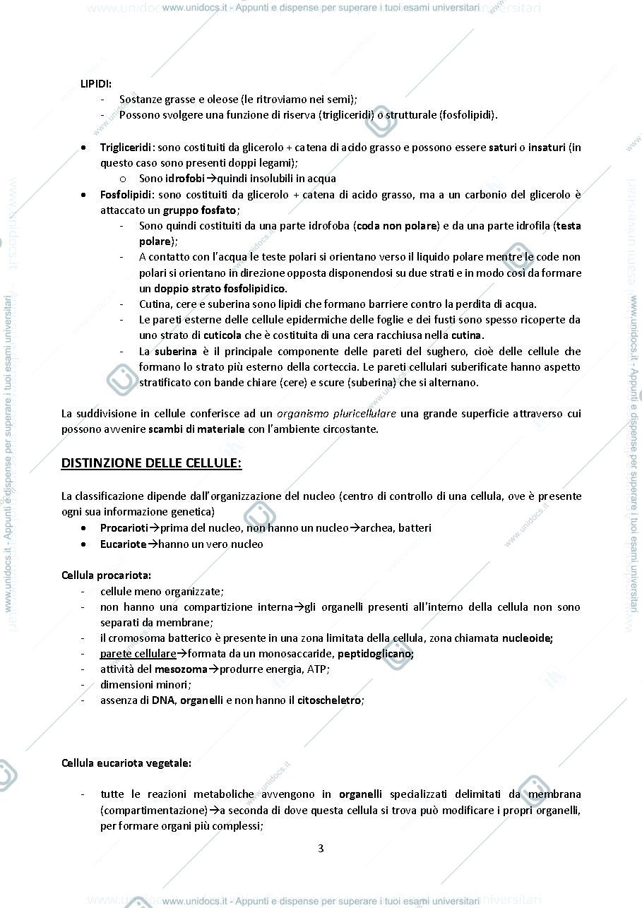 Anteprima pagina 3 — MOROFOFISIOLOGIA VEGETALE