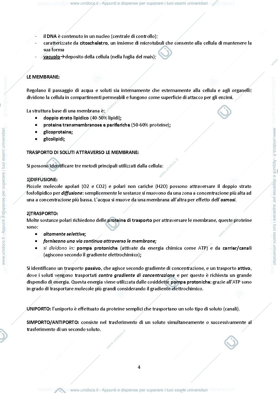 Anteprima pagina 4 — MOROFOFISIOLOGIA VEGETALE