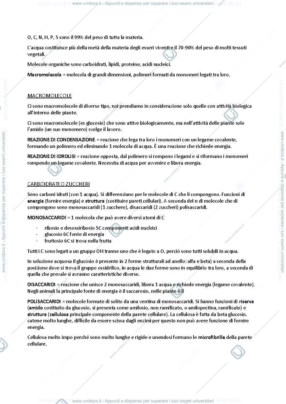 Anteprima pagina 2 — Riassunti Morfofisiologia vegetale esame Elena Baldi