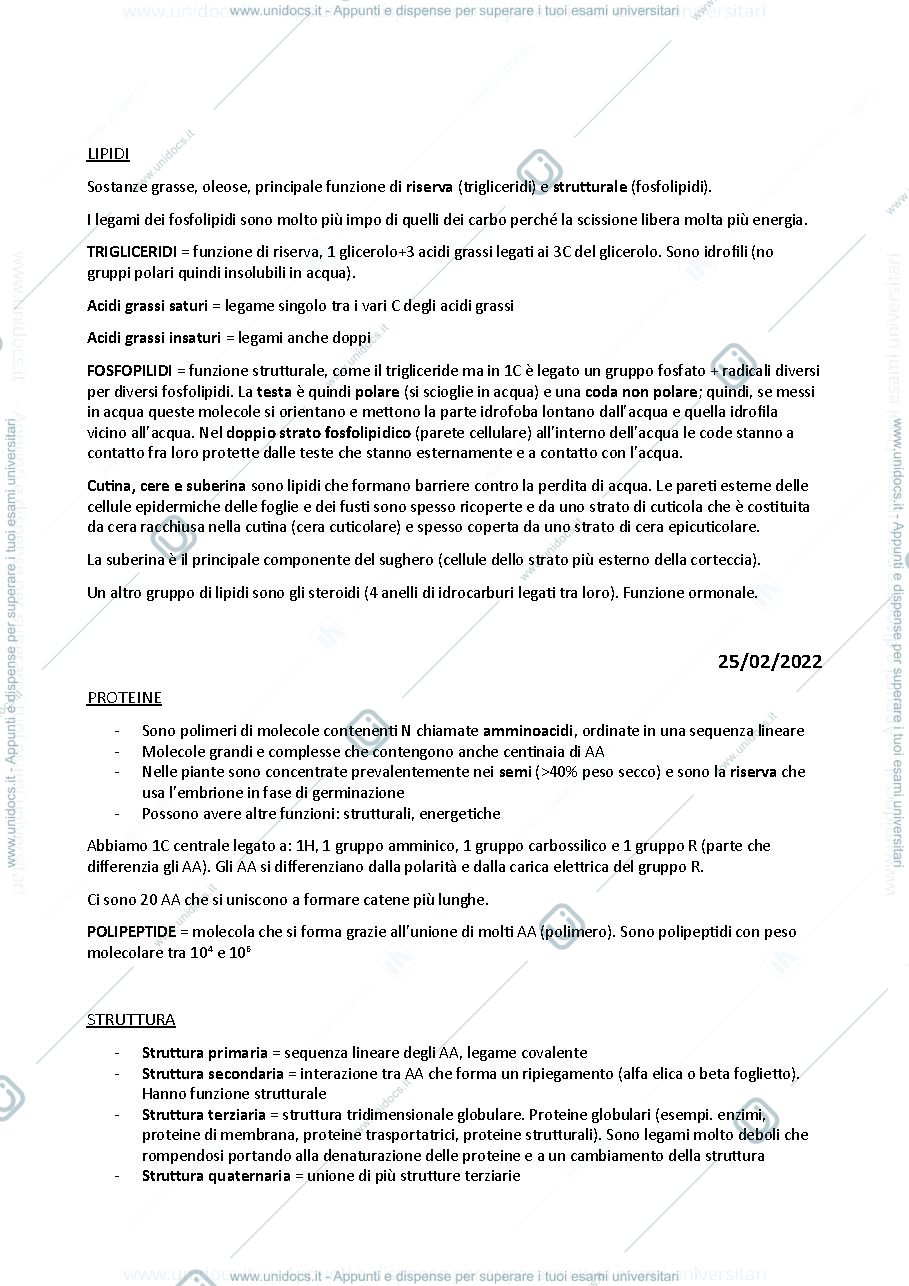 Anteprima pagina 3 — Riassunti Morfofisiologia vegetale esame Elena Baldi