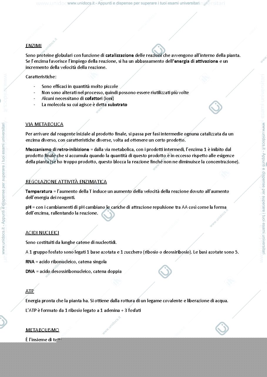 Anteprima pagina 4 — Riassunti Morfofisiologia vegetale esame Elena Baldi