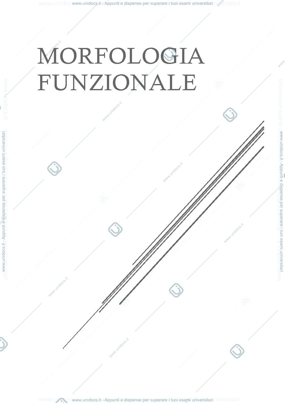 Anteprima pagina 1 — Morfologia funzionale