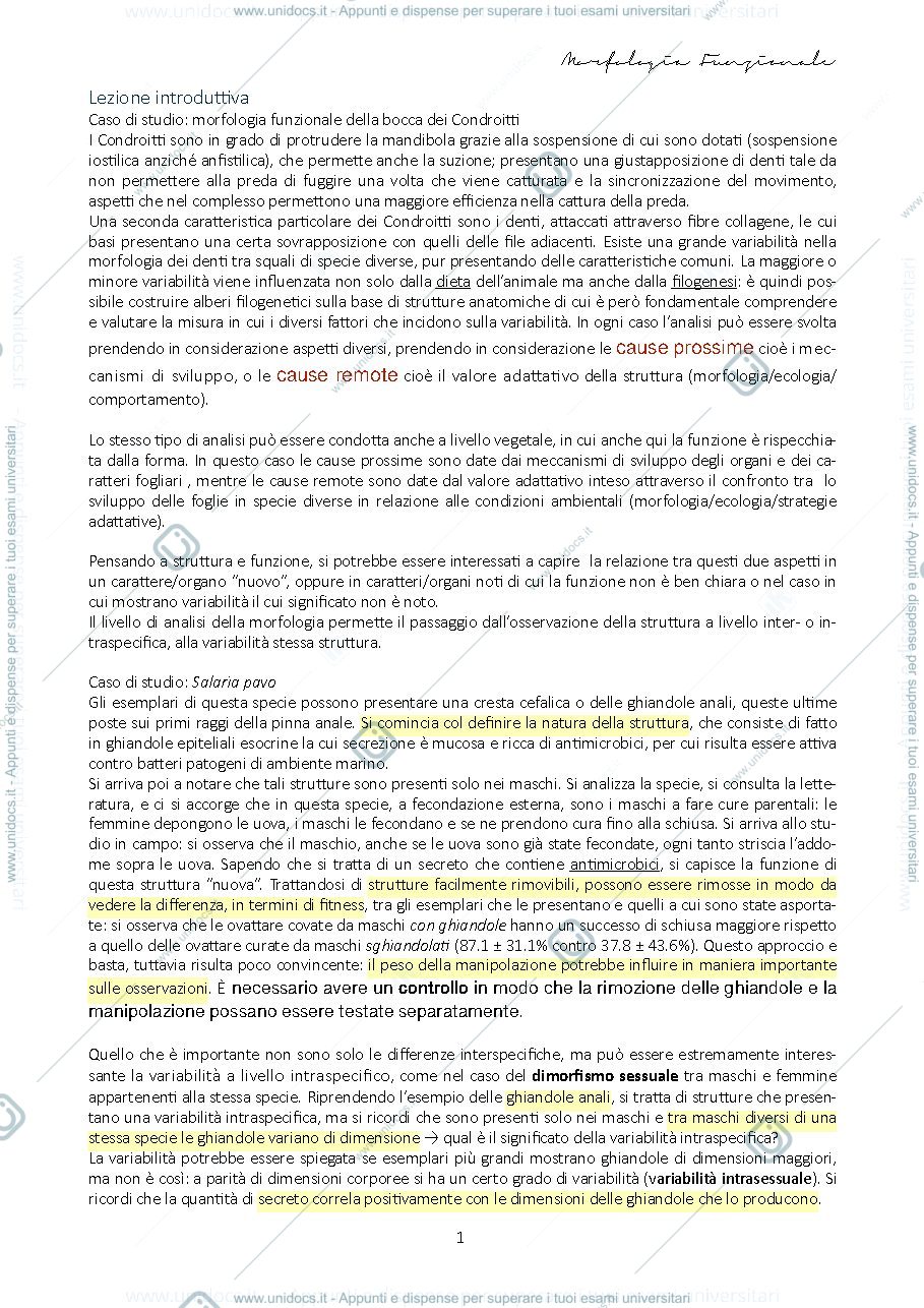 Anteprima pagina 3 — Morfologia funzionale