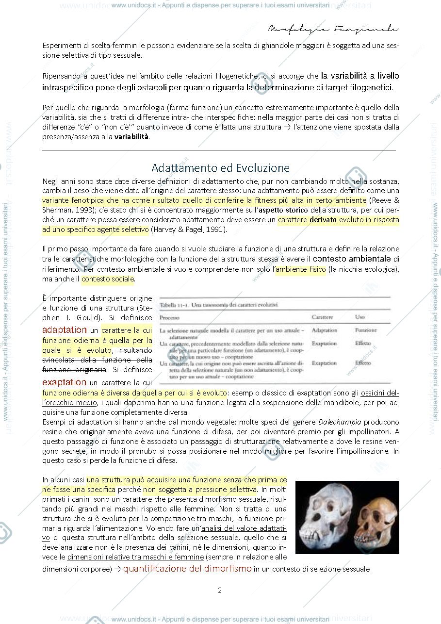 Anteprima pagina 4 — Morfologia funzionale